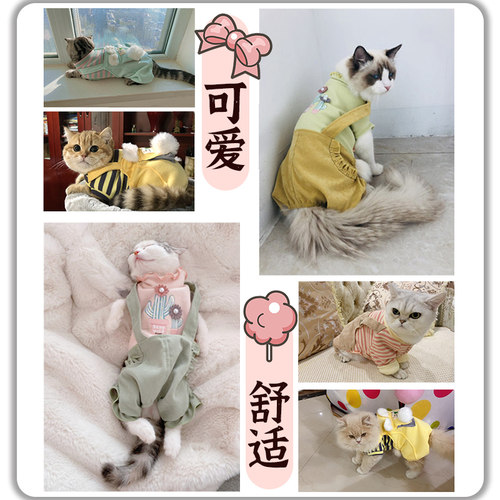 猫咪衣服冬装猫猫冬天保暖防掉毛幼猫布偶德文宠物小猫加厚保暖衣 - 图3