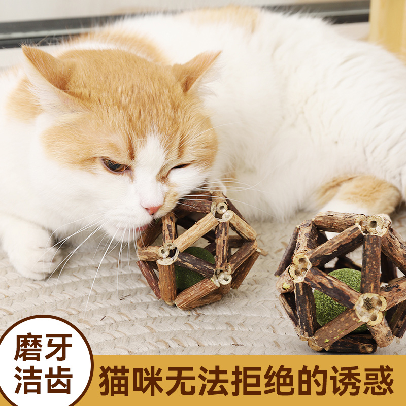 木天蓼磨牙棒猫薄荷球猫玩具自嗨解闷逗猫棒耐咬猫草球小猫咪用品 - 图3