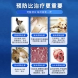 Супер доверенное тело собаки и вне тела и вне тела плюшевых домашних животных в теле и за пределами тела всех собак, используемых в теле