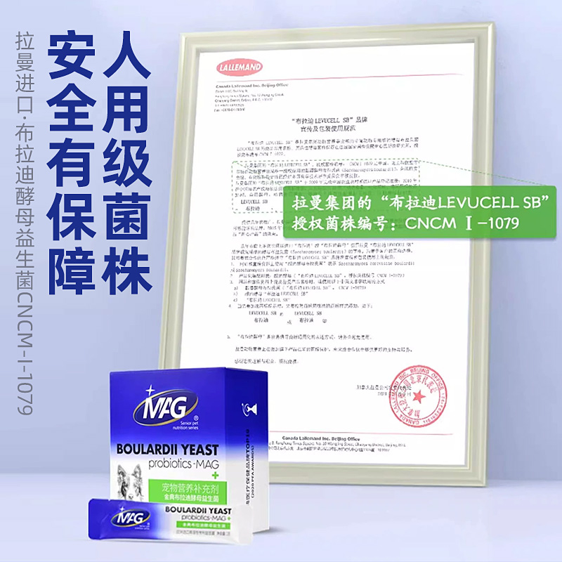 MAG金典布拉迪酵母益生菌1g*30袋调理肠胃拉肚子软便宠物保健食品 - 图3