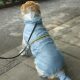 Dog Fashion Blue and Silver Contrast Raincoat