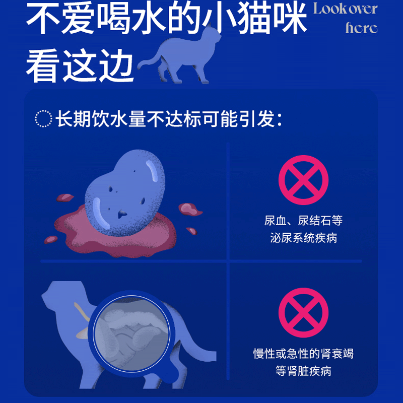 蓝氏全价主食餐包“蒸”鲜猫饭成幼猫增肥营养猫条零食生骨肉湿粮,淘宝优惠券,粉丝福利购,淘宝优惠卷