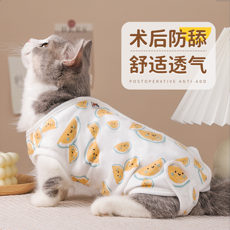 猫咪绝育服手术衣服猫猫断奶戒奶服防舔公猫术后服宠物绝育服母猫 - 图0