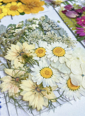 diy手工材料包压花干花贴画素材