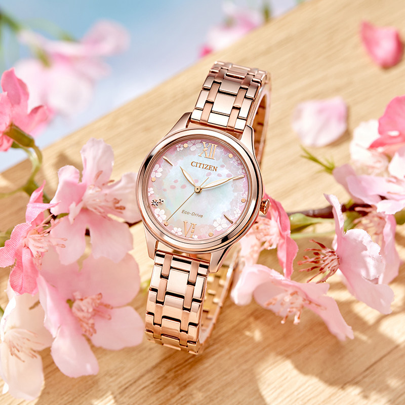 Citizen Eco-Drive Sakura Steel Belt Fashion Women’s Watch