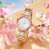 Citizen Eco-Drive Sakura Steel Belt Fashion Women’s Watch