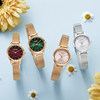 Citizen’s official new authentic internet celebrity ladies’ watch