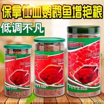 Paunas blood parrot fish for red fish feed domestic parrot pellets Rohan feed Fortune Fish Map Fish Grain