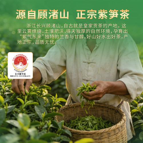 顾渚紫笋2026明前头采特级正宗紫笋绿茶长兴大唐贡茶院100g礼盒装 - 图0