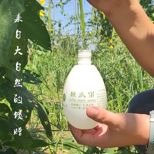 3瓶装巨型一号丝瓜水原液320ml保湿控油柔肤精华爽肤水送礼品 - 图2