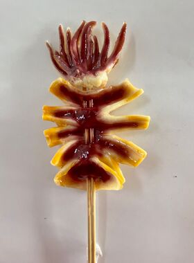 仿真鱿鱼模型生鱿鱼模型
