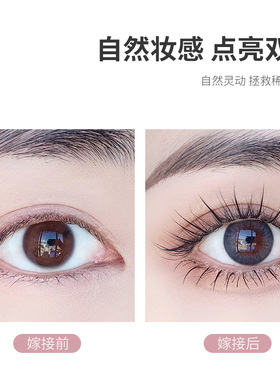 单簇A型下睫毛鱼尾仙子混合装
