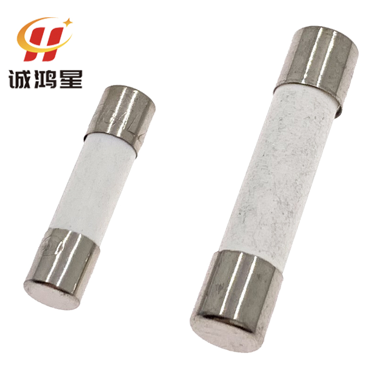 F5AL250V快熔断5A保险丝5x20/6*30mm熔断器陶瓷保险管 - 图0