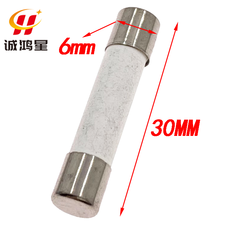 F10AL250V快熔断10A保险丝5x20/6*30mm熔断器陶瓷保险管 - 图2