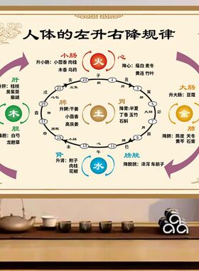 人体五行升降图画芯生养生贴墙挂图全套海报室内挂图贴画