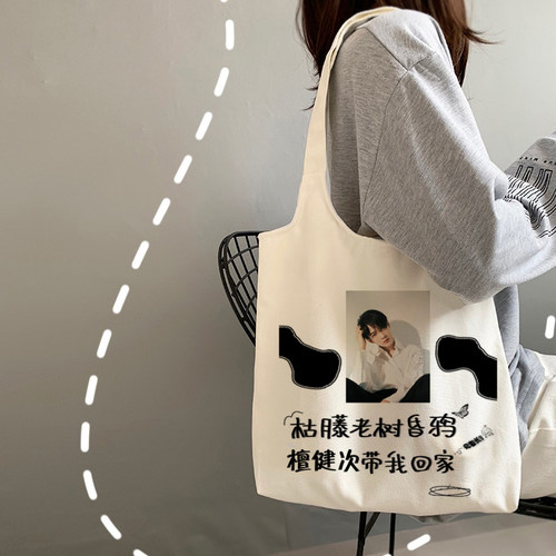 檀健次沈翊同款帆布包百搭单肩手提袋应援帆布袋女学生大容量购物 - 图0
