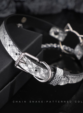 小众蛇皮纹项圈个性PU项链圆环链条choker