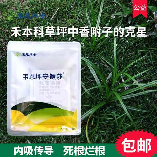 莱恩坪安镢莎禾本科草坪早熟禾高羊茅黑麦草防除莎草香附子除草剂 - 图0