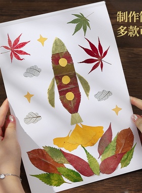 真树叶粘贴画植物标本手工diy材料落叶干树叶天然幼儿园儿童作品