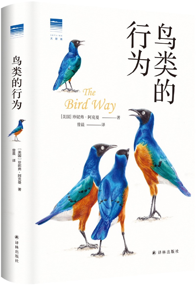 鸟类的行为 天际线丛书 Science期刊推荐图书 颠覆你对鸟类世界的认知 欧美颇受瞩目的鸟类科普图书动物行为学书籍译林出版社 - 图3