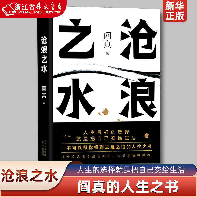 官场小说任选 人民的名义人民的财产遥远的救世主天幕红尘天局沧浪之水红袖青瓷省委书记苍天在上大雪无痕高纬度战栗 周梅森陆天明 - 图3