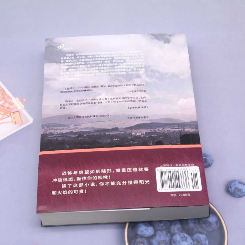 撒冷镇 斯蒂芬·金作品系列 美斯蒂芬·金 人民文学出版社 外国文学-各国文学 9787020153336新华正版 - 图1