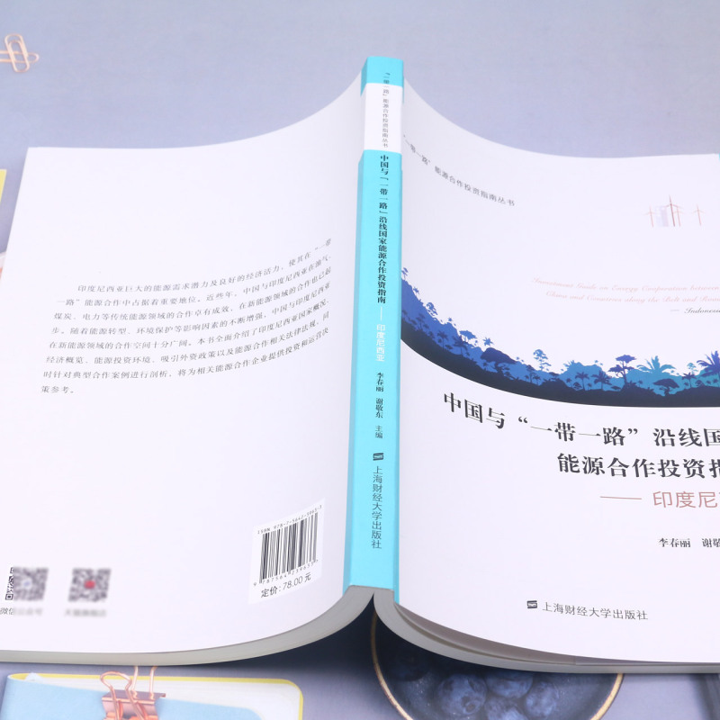 中国与一带一路沿线国家能源合作投资指南--印度尼西亚/一带一路能源合作投资指南丛书