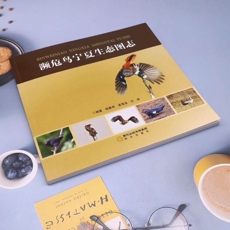 濒危鸟宁夏生态图志 阳光出版社