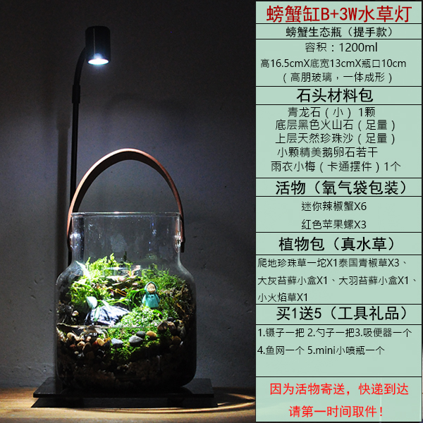 生态瓶辣椒蟹微景观小型客厅鱼缸桌面鱼虾蟹苔藓植物水陆缸螃蟹i.