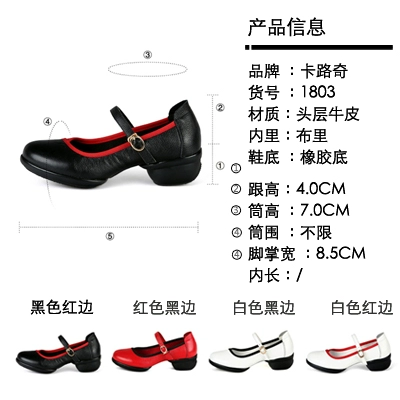 Обувь, танцующие туфли, из натуральной кожи, мягкая подошва