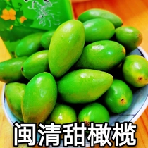 Minqing Sweet Olive Fruit Green Olive to Gale No Slag Gansweet Olive Fruit Fuzhou Qingkot Minhou Olive Raw Eat