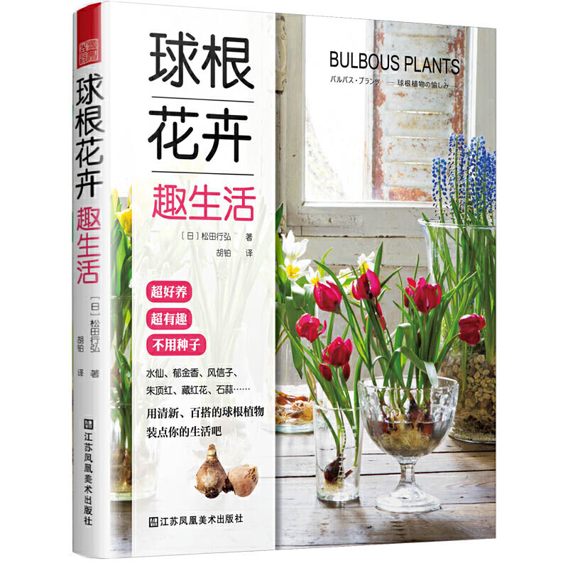 球根植物球根花卉 新人首单立减十元 21年9月 淘宝海外 球根植物球根花卉 新人首单立减十元 21年9月 淘宝海外