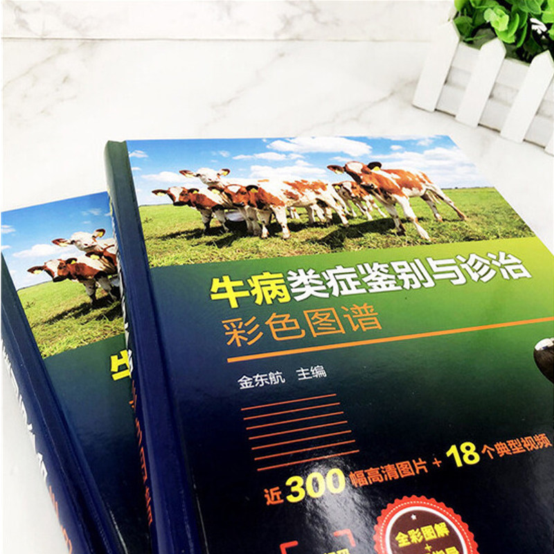 牛病类症鉴别与诊治彩色图谱 养牛技术书籍大全牛病常见病诊断及全书肉牛养殖书牛饲料配方饲养管理牛病类症鉴别防治实用手册