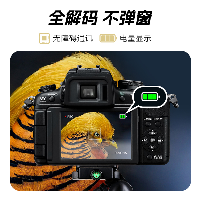 沣标DMW-BLC12相机电池105适用松下G85 FZ2500 G6 G7 GH2 GX8 FZ1000适马FP DP3Q DP0Q徕卡BP-DC12充电器套装 - 图0