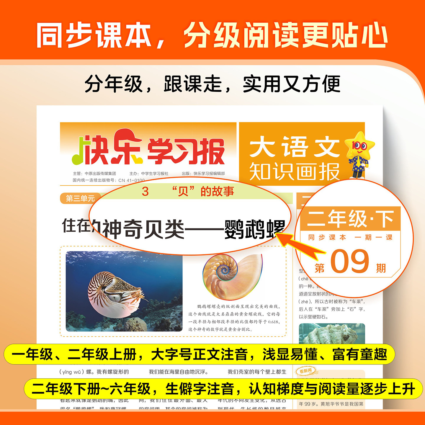 小学大语文知识画报快乐学习报少年报纸杂志2025年/2026年春季/秋季学期订阅小学生一二三四五六年级同步课本阅读天星教育阳光过刊
