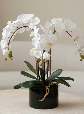 简约蝴蝶兰仿真花轻奢软装摆件