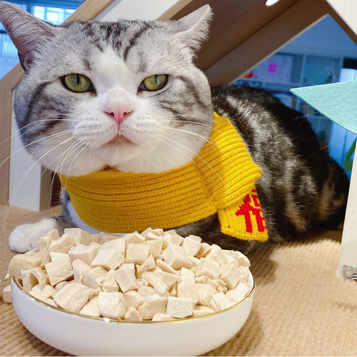 美尼蜗猫咪纯鸡肉冻干丁原生肉粒高蛋白挑嘴猫狗都爱零食鸡肉丁 - 图0