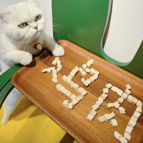美尼蜗猫咪纯鸡肉冻干丁原生肉粒高蛋白挑嘴猫狗都爱零食鸡肉丁 - 图1