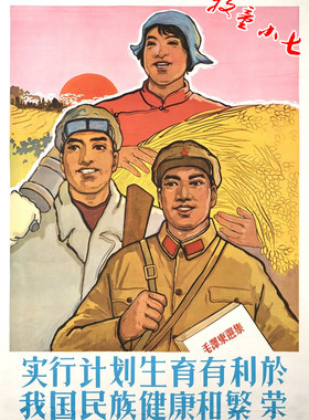 农村老墙贴宣传画计划生