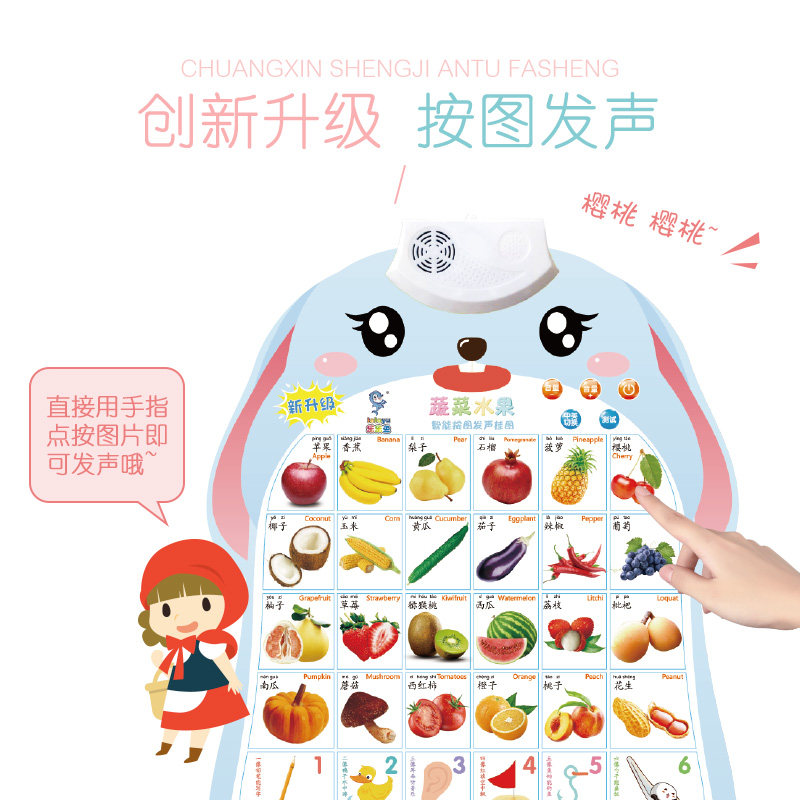 有声早教挂图点读拼音看启蒙玩具 乐雅母婴玩具挂图/认知卡