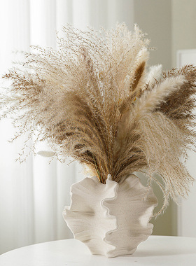 欧式素烧白色陶瓷花瓶磨砂质感水培干花插家居装饰摆件礼品