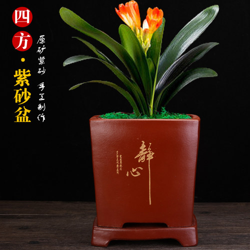 宜兴紫砂君子兰专用四方长方手工透气养根绿植桌面陶瓷盆景兰花盆 - 图2