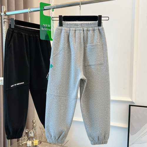 男童运动裤秋冬款2025新款中大童装冬季加绒儿童裤子男孩休闲卫裤 - 图2