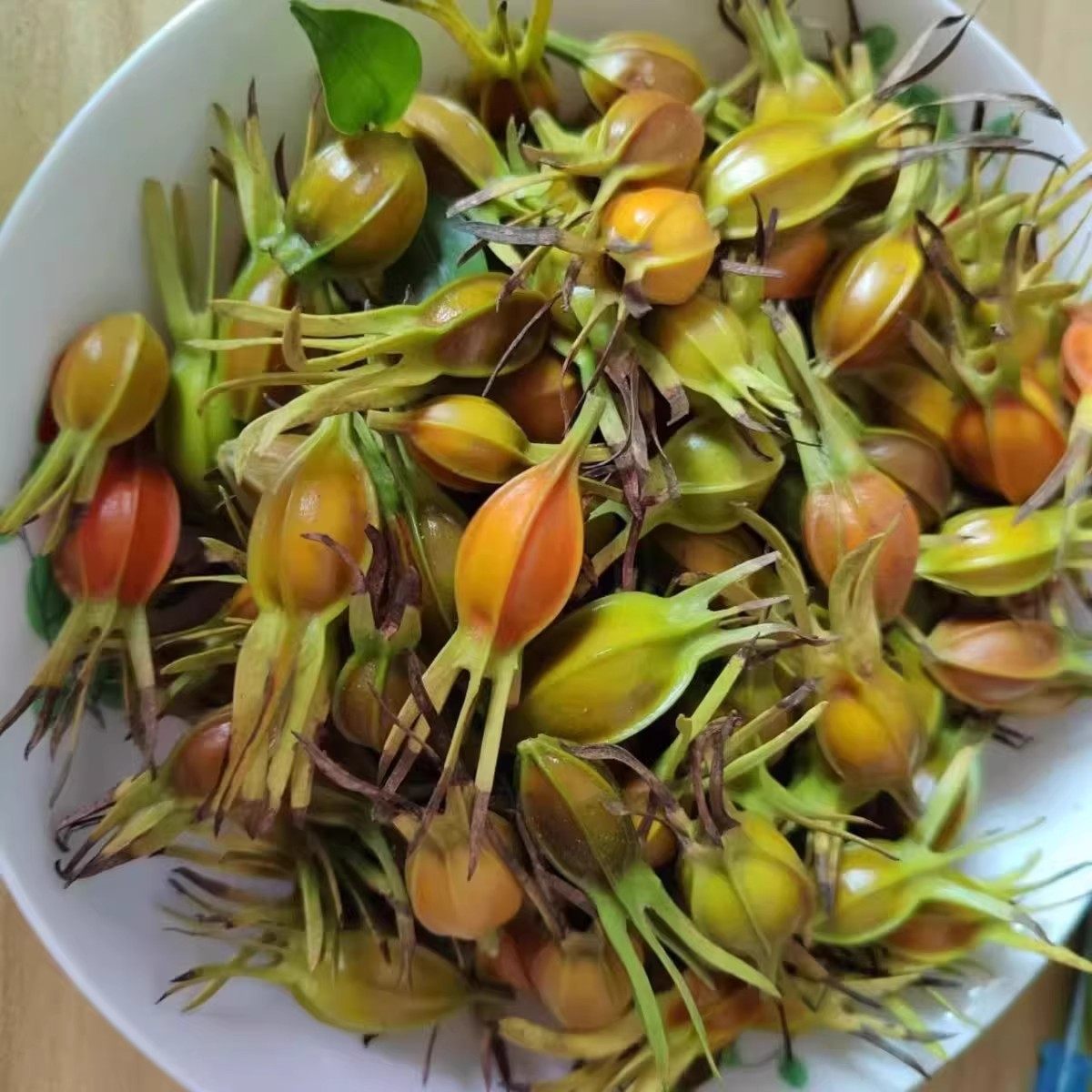 江西野生新鲜栀子花草茶上色栀子茶卤肉料香料小黄栀子泡水药栀子,淘宝优惠券,粉丝福利购,淘宝优惠卷