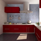 20 Натуральная Fritillaria Shell Net с швейными мозаичными наклейками на фоновые телевизоры