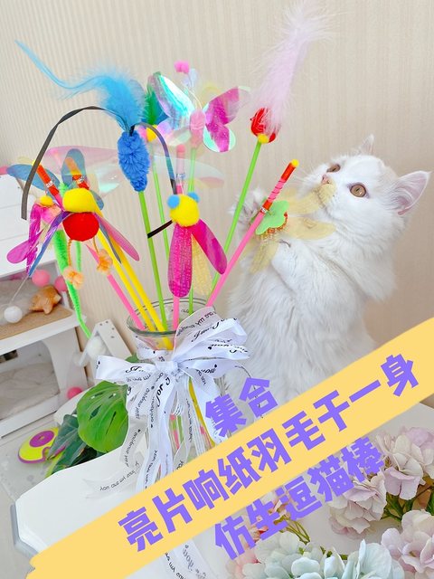Cc Taiwan Amy Tianyuan vocal long pole cat teasing stick