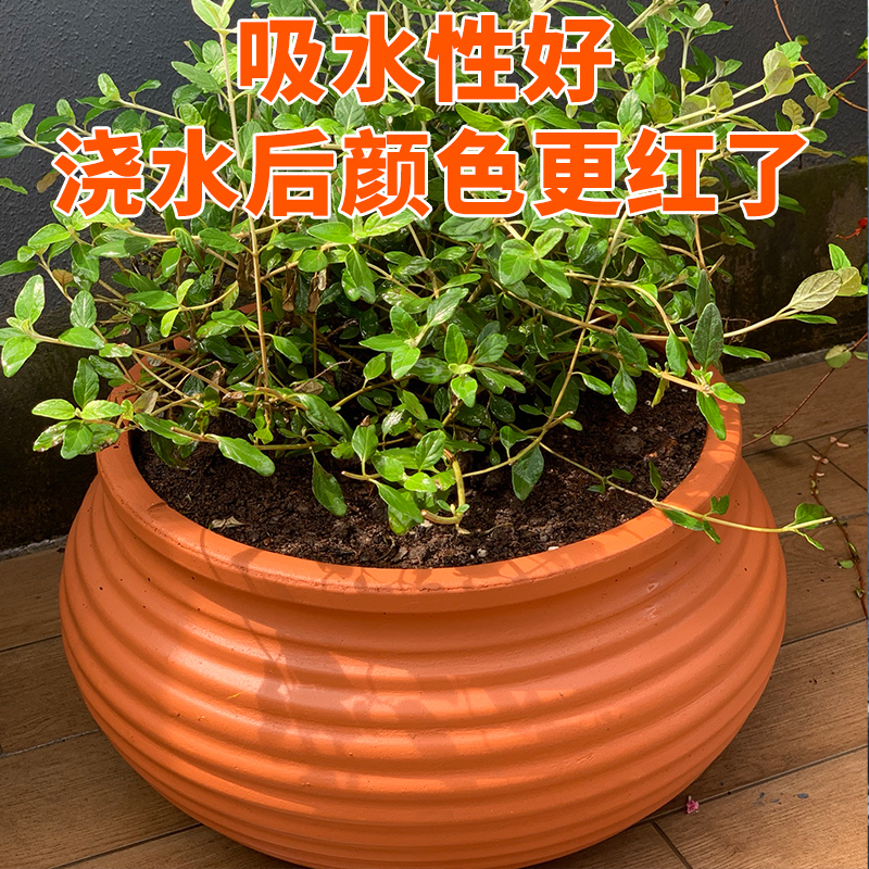 户外欧式红陶花盆个性造型庭院阳台种花多肉植物陶土粗陶陶罐装饰 - 图0