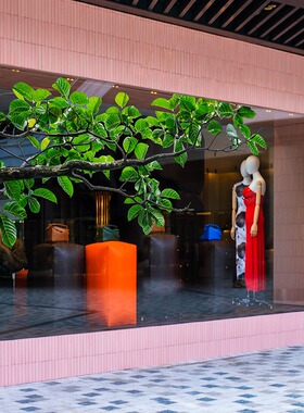 绿色树枝树叶枝条玻璃贴办公室绿植底纹创意餐厅酒吧咖啡店森林贴