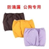 Pet Dog Physiological Band Мужская собака -Абсорбент водяной поглощение подгузники собачья собака летние воздушные подгузники подгузники для живота