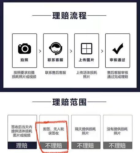 小樱花公虾观赏虾鲜活体除藻虾草缸工具虾大型宠物虾米虾淡水包邮 - 图3